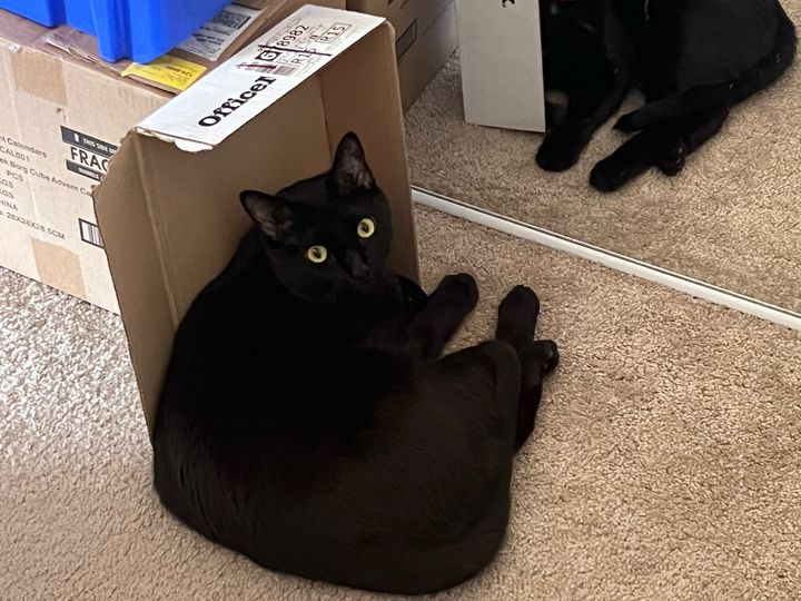 Bluesky Post 2023-11-04