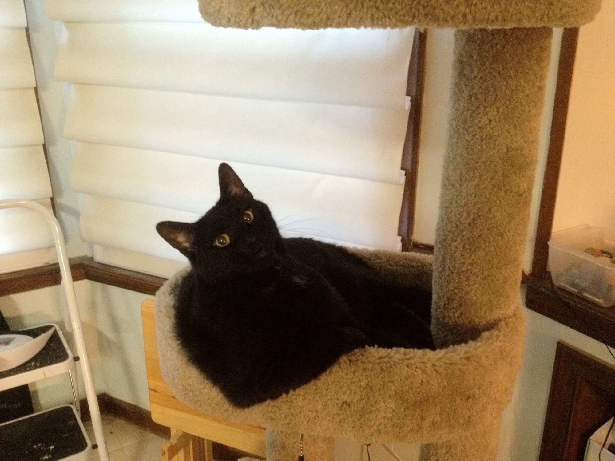 Bluesky Post 2023-12-30