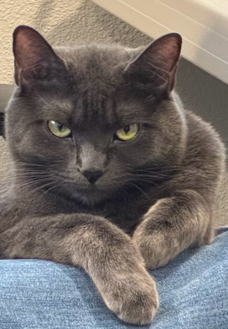 Bluesky Post 2024-11-16