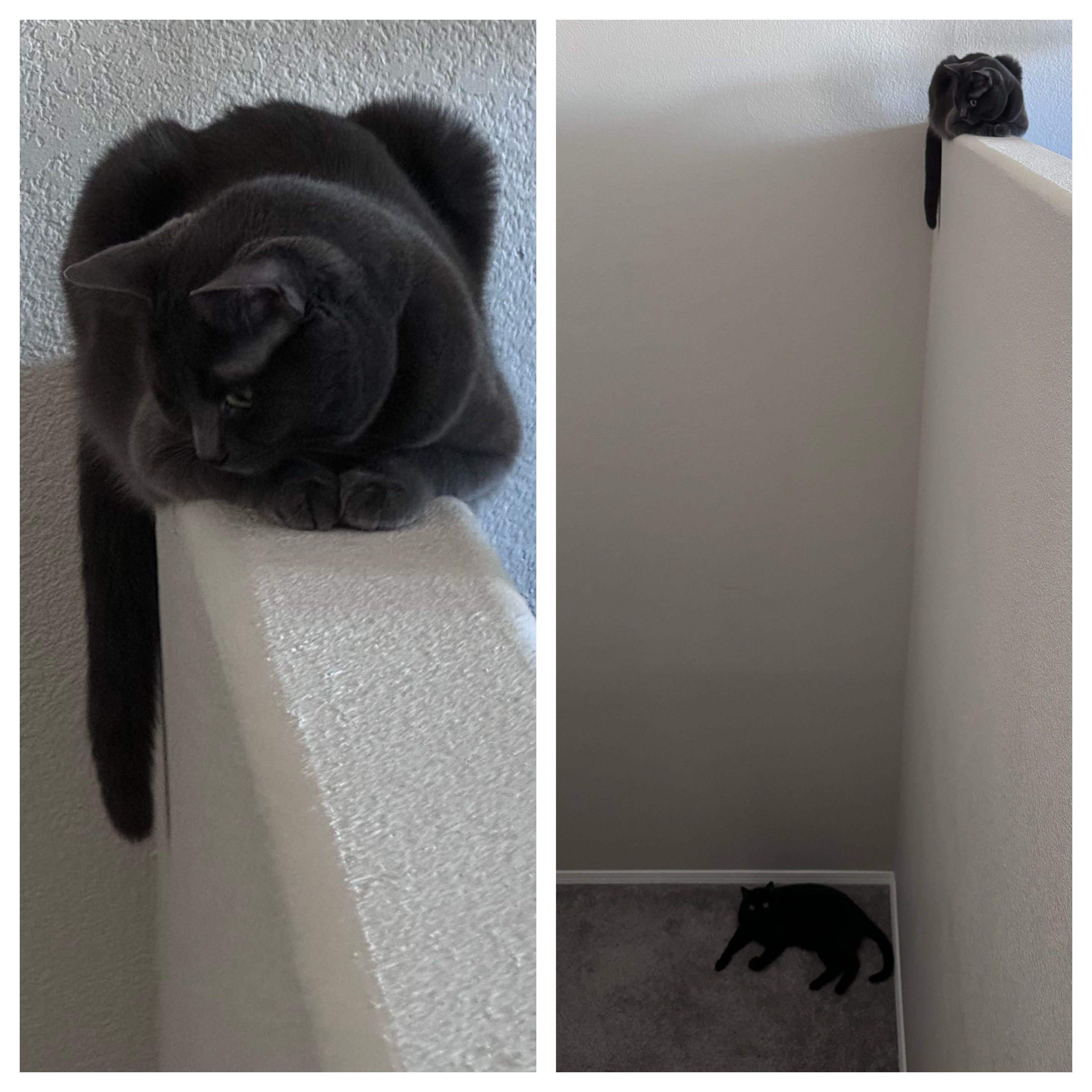 Mastodon Post 2024-05-11