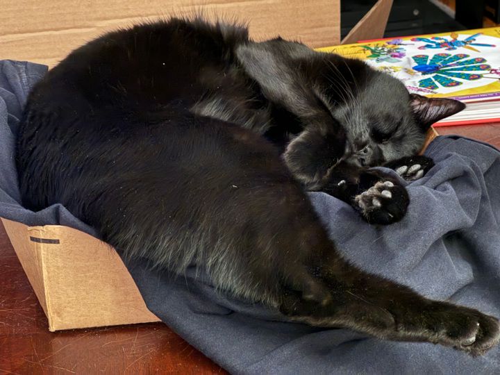 Mastodon Post 2024-07-13