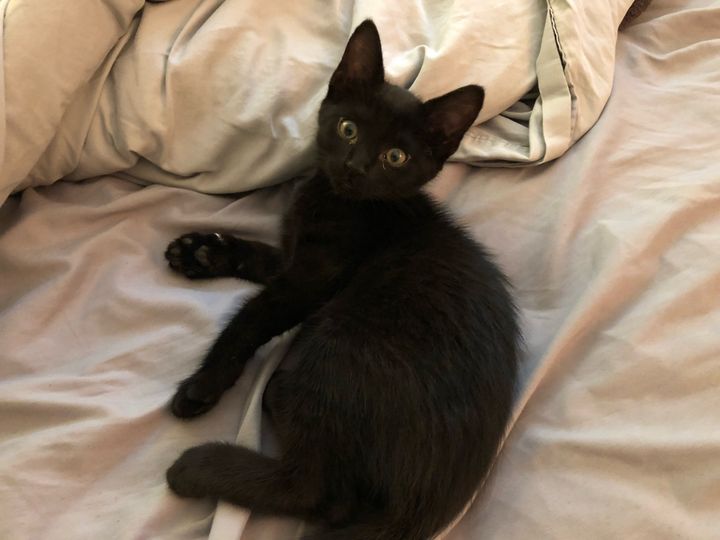 Bluesky Post 2024-06-15